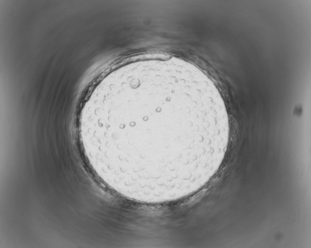 X0000116890245201002021215