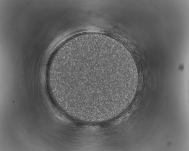 X0000116890247201002021215