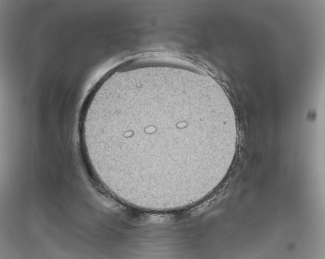 X0000116890248201002021215