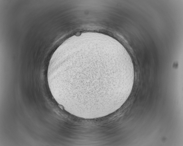 X0000116890249201002021215