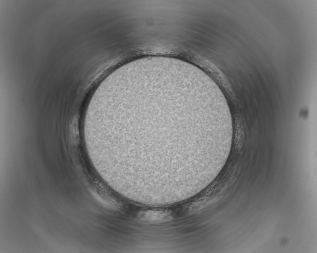 X0000116890251201002021215