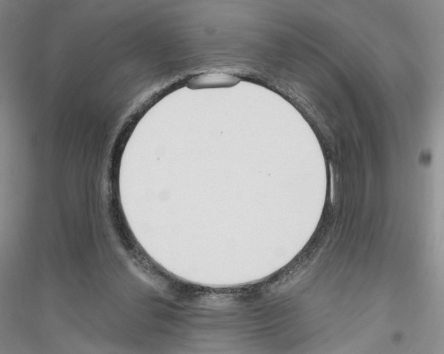 X0000116890252201002021215