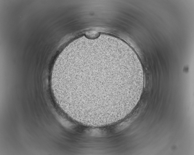 X0000116890253201002021215