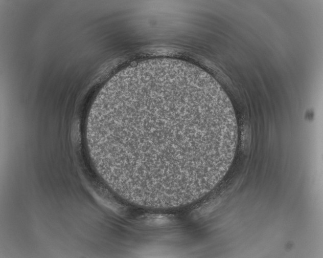 X0000116890254201002021215