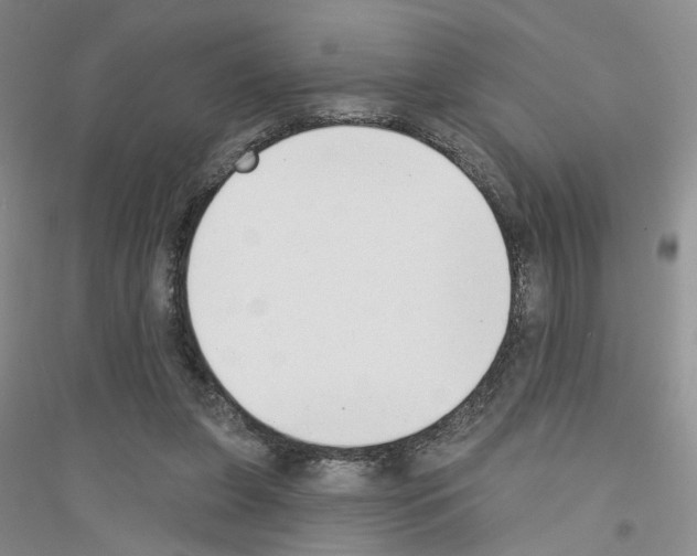 X0000116890255201002021215