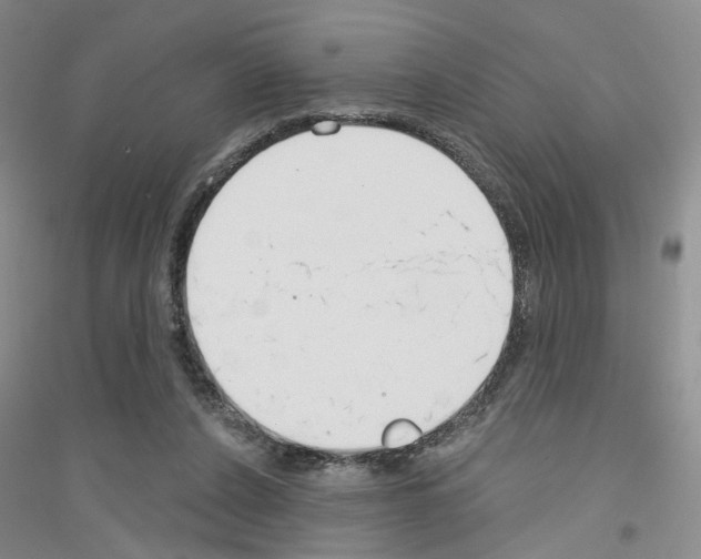 X0000116890256201002021215