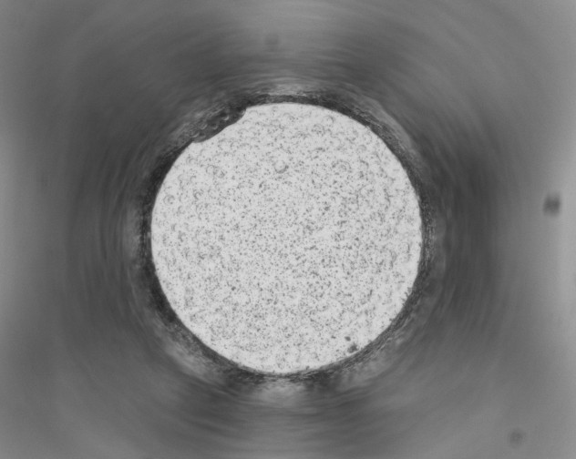 X0000116890257201002021215