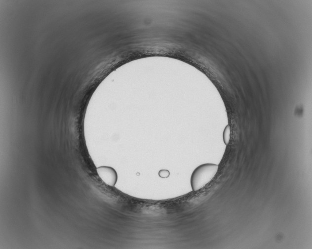 X0000116890258201002021215