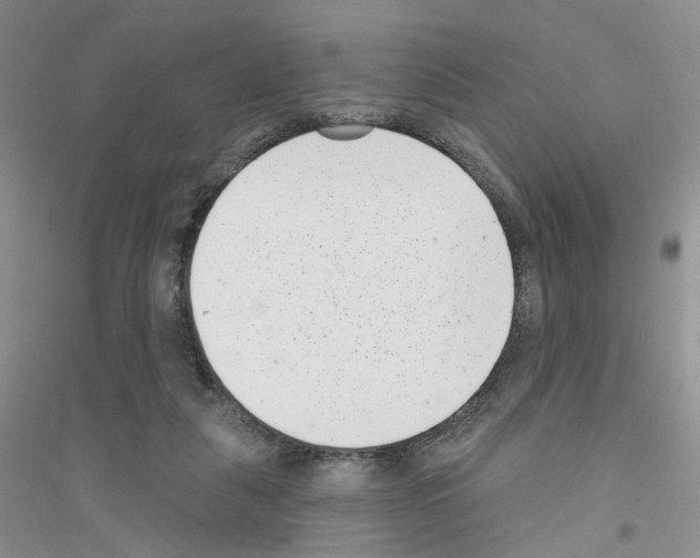 X0000116890259201002021215