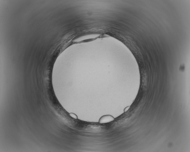 X0000116890260201002021215