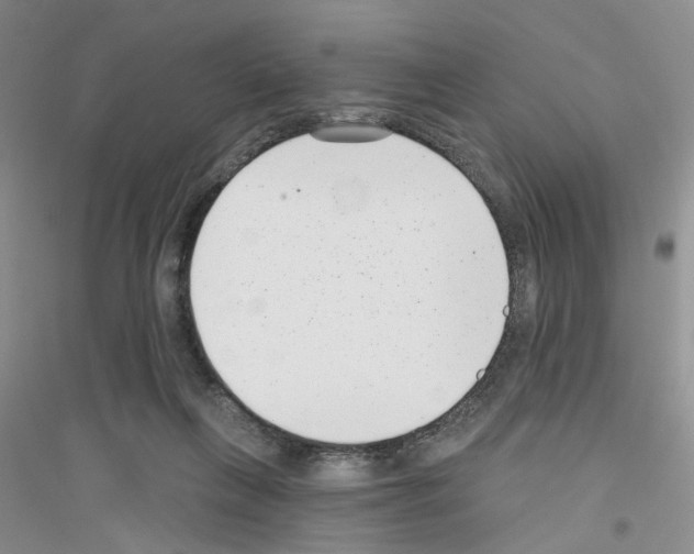 X0000116890263201002021215