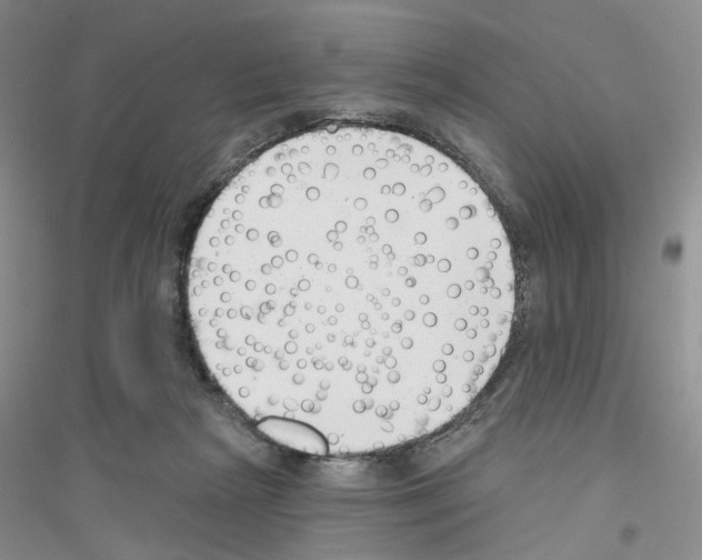 X0000116890265201002021215