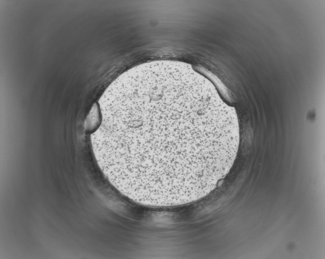 X0000116890268201002021215