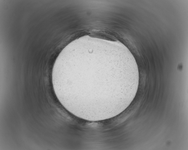 X0000116890269201002021215