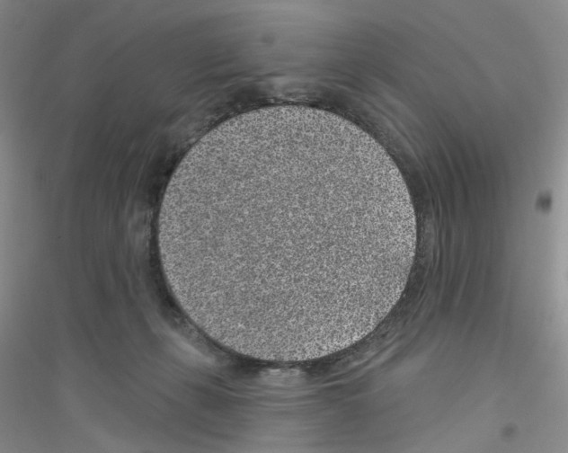 X0000116890271201002021215