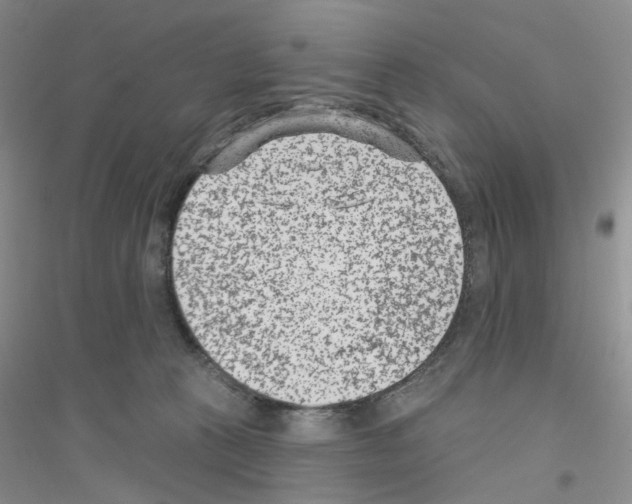 X0000116890273201002021215