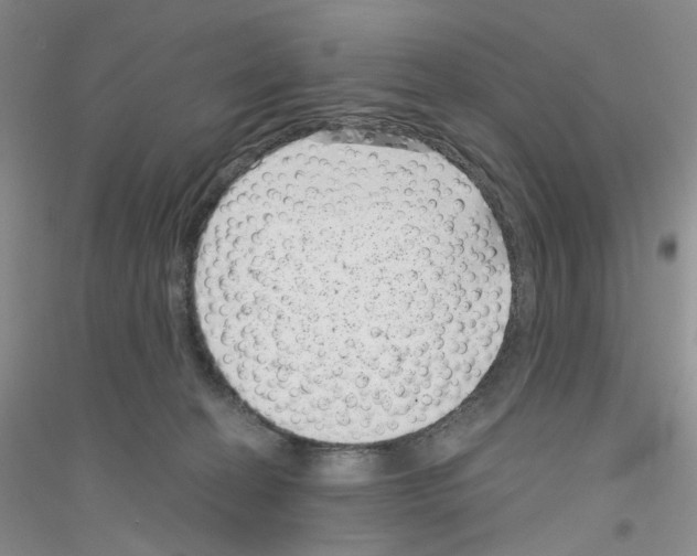 X0000116890274201002021215