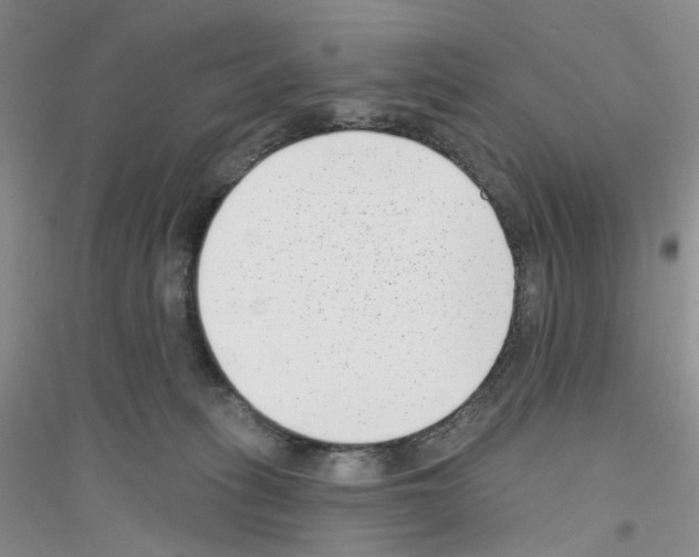 X0000116890275201002021215