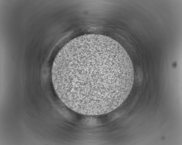 X0000116890276201002021215