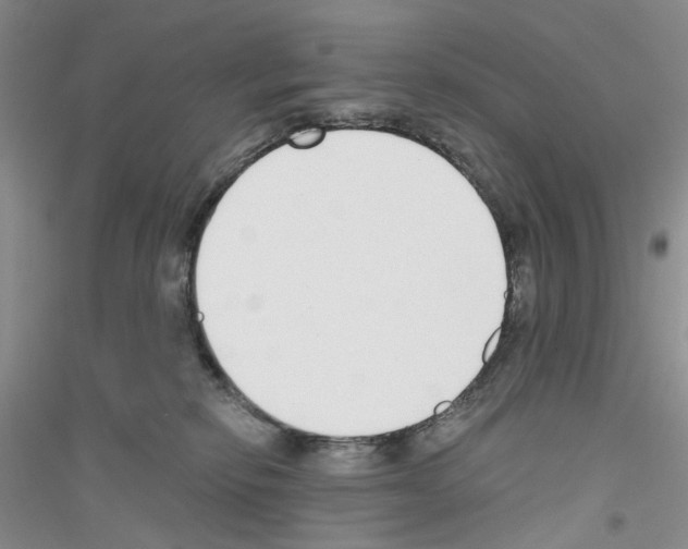 X0000116890278201002021215