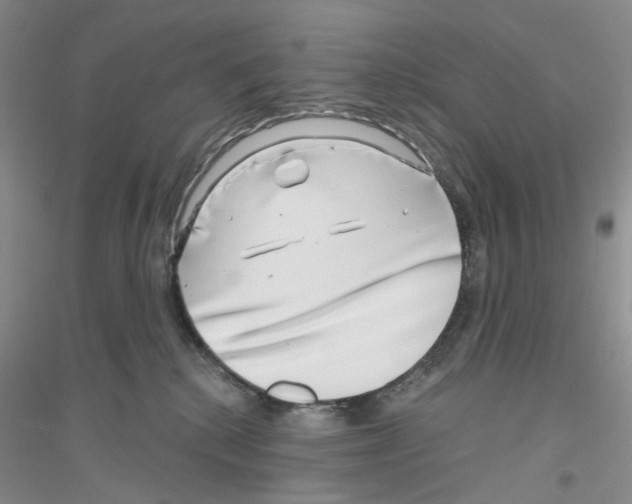 X0000116890280201002021215