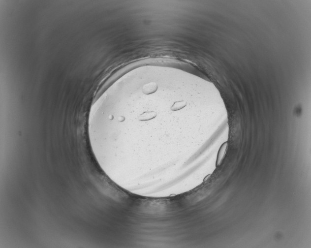 X0000116890282201002021215