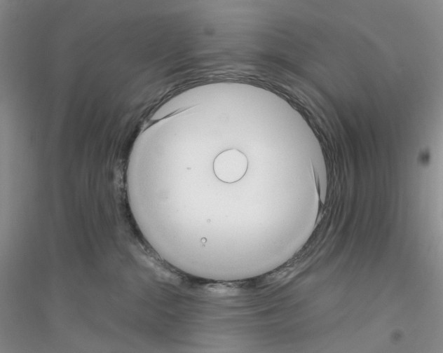 X0000116890284201002021215