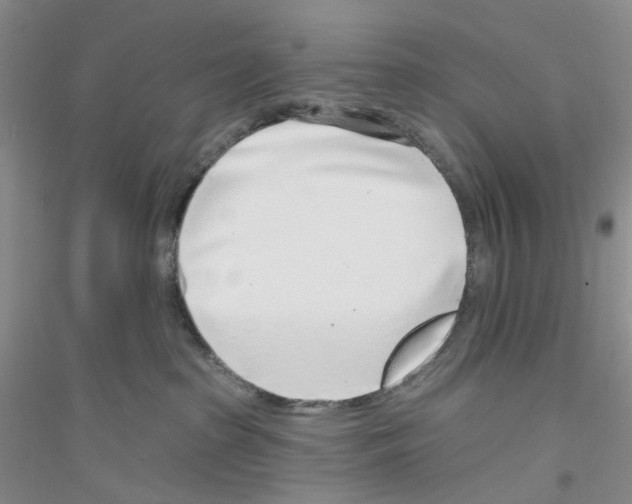 X0000116890285201002021215