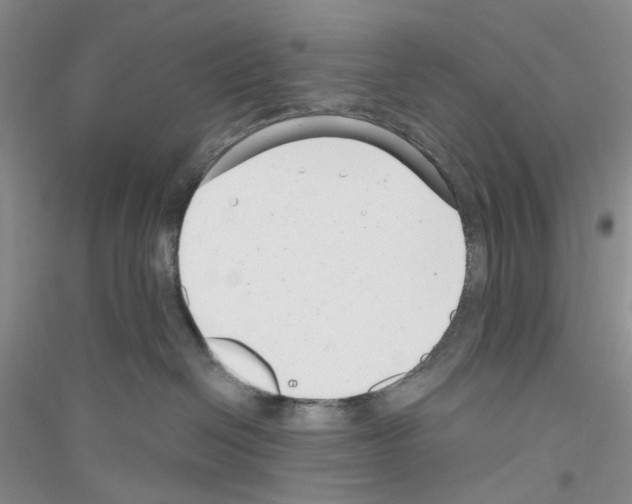 X0000116890286201002021215