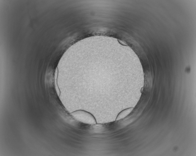 X0000116890287201002021215