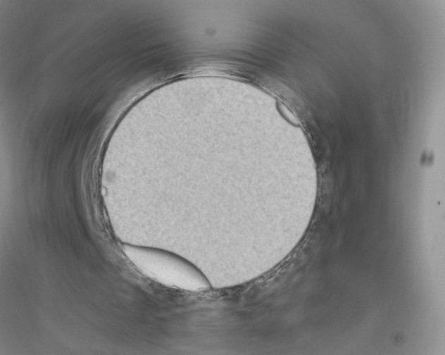 X0000116890289201002021215