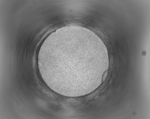 X0000116890290201002021215