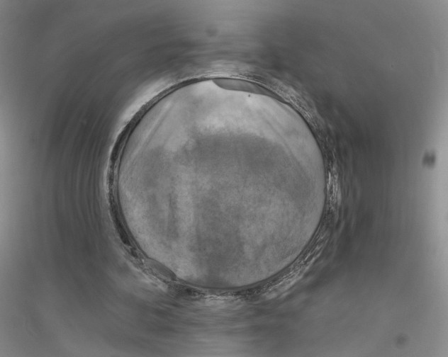 X0000116890292201002021215