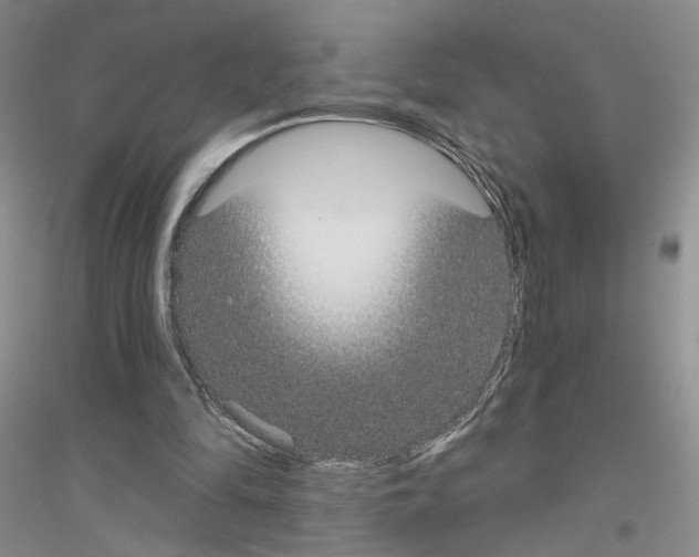 X0000116890294201002021215