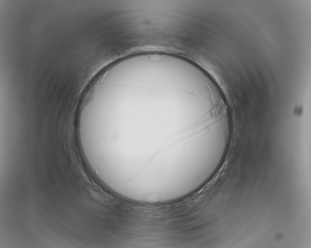 X0000116890297201002021215