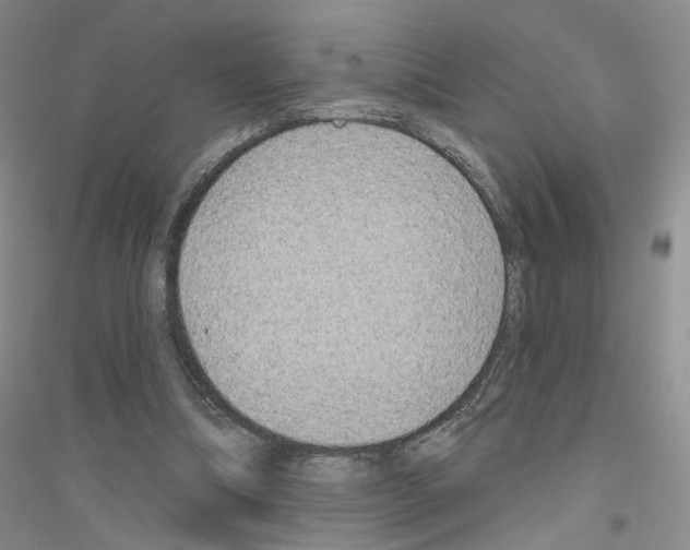 X0000116890298201002021215