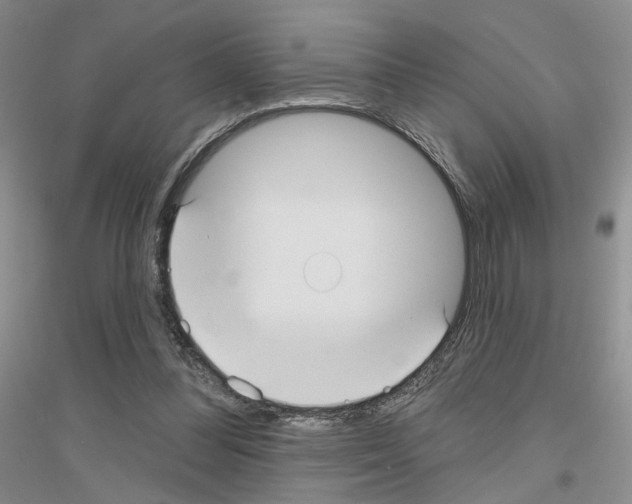 X0000116890300201002021215