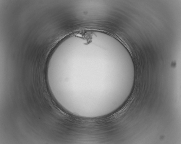 X0000116890301201002021215