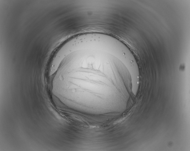 X0000116890302201002021215