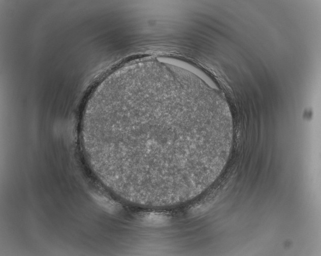 X0000116890303201002021215