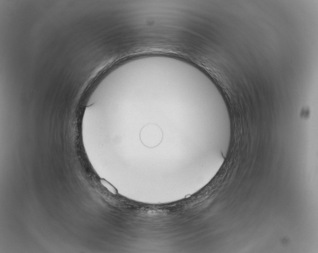 X0000116890304201002021215