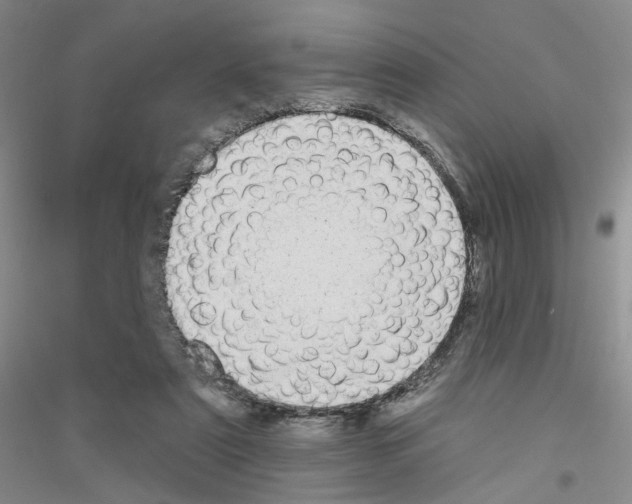 X0000116890307201002021215