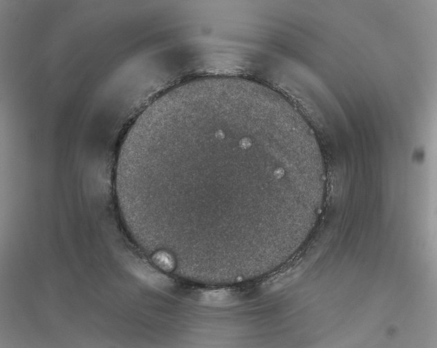 X0000116890309201002021215