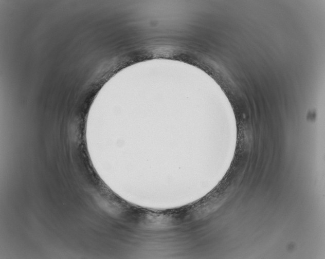 X0000116890311201002021214