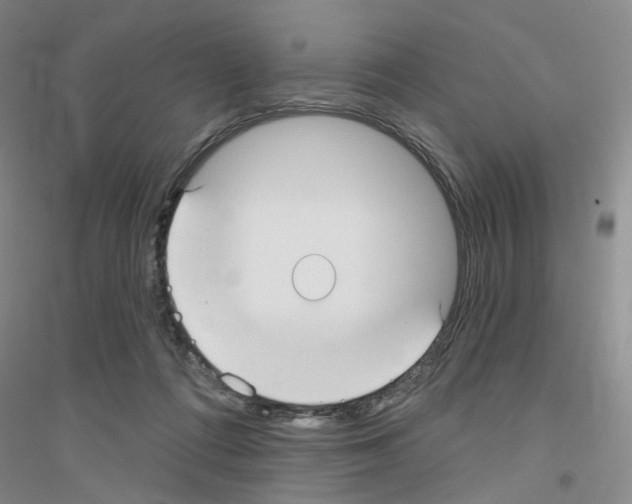 X0000116890312201002021214