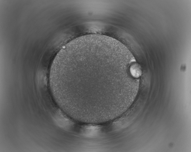 X0000116890313201002021214