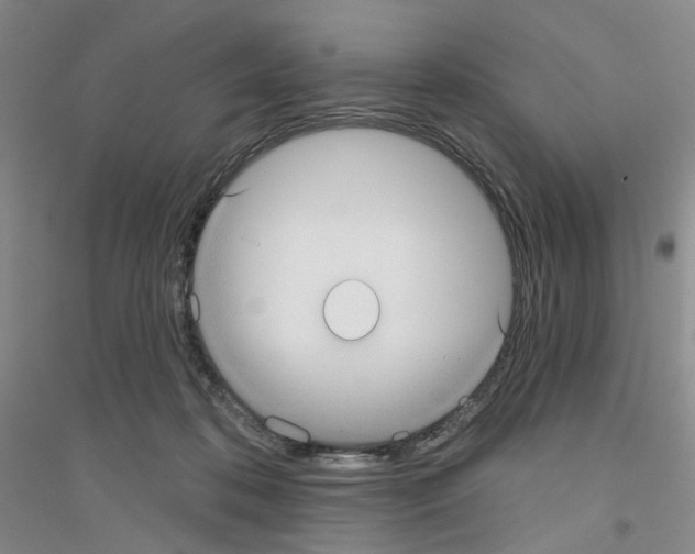 X0000116890316201002021214