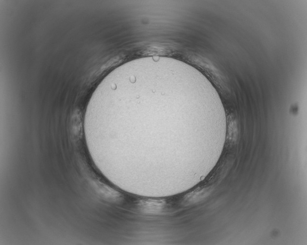 X0000116890318201002021214