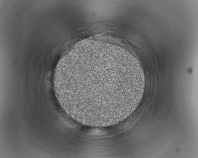 X0000116890319201002021214