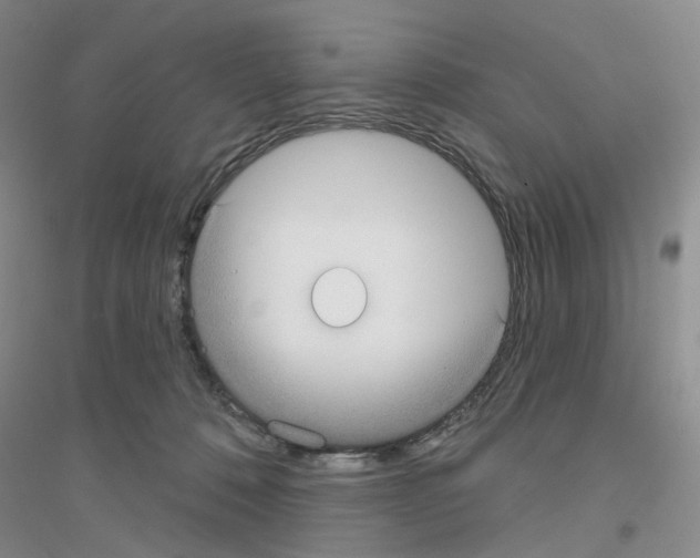 X0000116890320201002021214